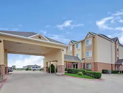 Microtel Inn and Suites Dallas Mesquite | Teksas - Dallas (ve civarı) - Mesquite