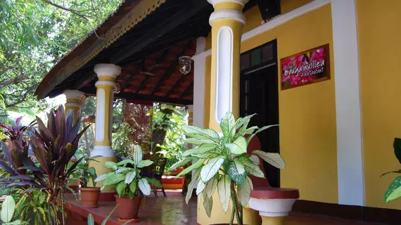 Granpa's Inn - Bougainvillea | Goa - Kuzey Goa - Anjuna