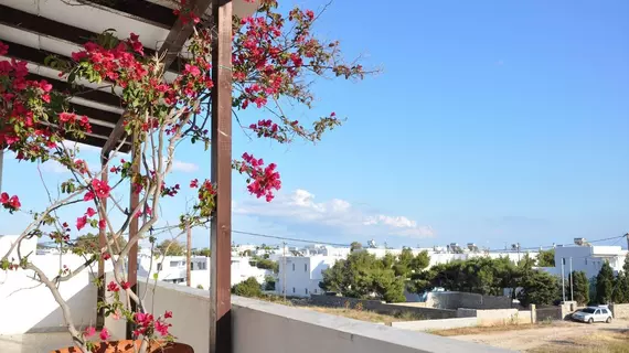 Michalis Apartments | Ege Adaları - Paros