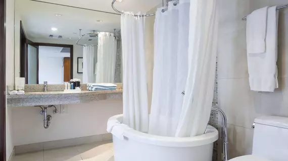 Suites at Congress Ocean Drive | Florida - Miami Beach - Güney Plajı