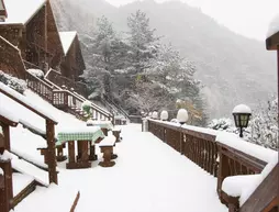 Spring Summer Fall Winter Pension | Gangwon - Pyeongchang