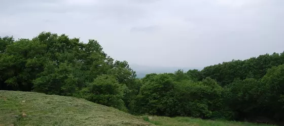 Agriturismo I Poderi | Toskana - Siena (vilayet) - Chianciano Terme