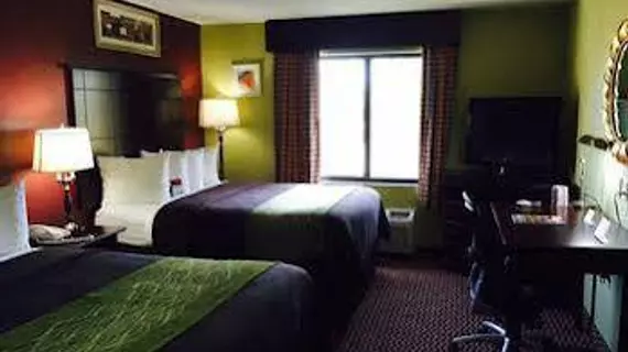 Comfort Inn and Suites Melvindale | Michigan - Detroit (ve civarı) - Melvindale