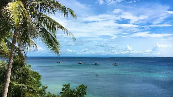 Sandingan Dive Resort | Bohol - Loon