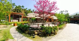 Sakura Villa | Nantou County - Lugu