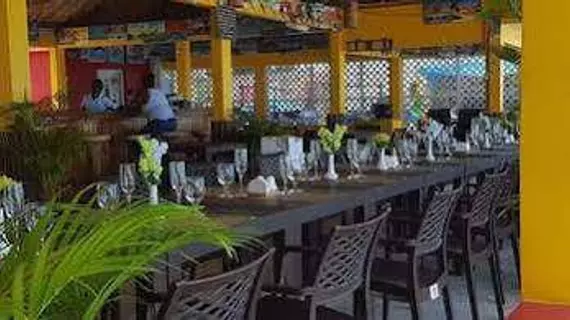 Roots Bamboo | Westmoreland - Negril (ve civarı) - Negril