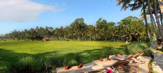 Mathis Retreat | Bali - Ubud - Kedewatan