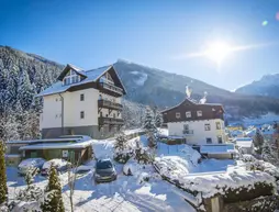 Chalet Enzian by AlpenTravel | Salzburg (eyalet) - Sankt Johann im Pongau - Bad Gastein