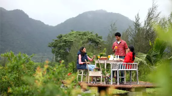 Harvest Fresh Farms | Kerala - Idukki Bölgesi - Thekkady