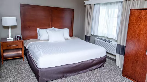 La Quinta Inn and Suites Brooklyn Williamsburg | New York - New York (ve civarı) - Brooklyn - Williamsburg