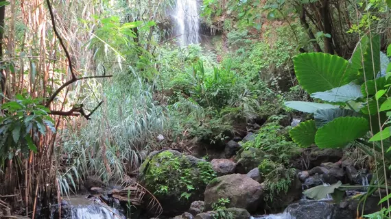 Agua Blanca | Michoacan - Jungapeo