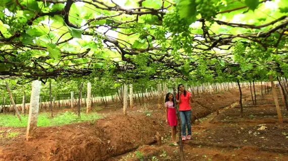 Harvest Fresh Farms | Kerala - Idukki Bölgesi - Thekkady