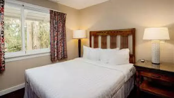 Butterfly Grove Inn | Kaliforniya - Monterey (ve civarı) - Pacific Grove