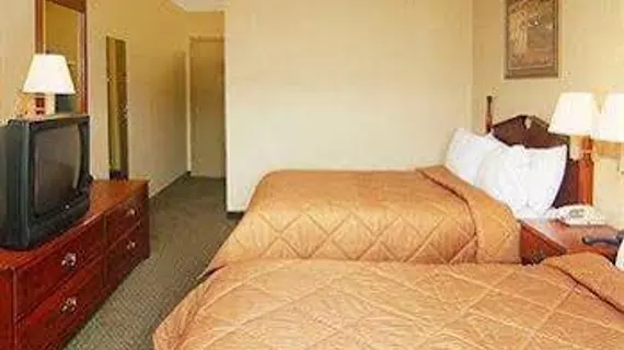 Comfort Inn & Suites Leeds | Alabama - Birmingham (ve civarı) - Leeds