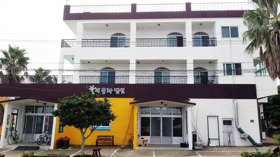 Olle Windmill Pension and Guesthouse | Jeju Adası - Seogwipo - Jungmun