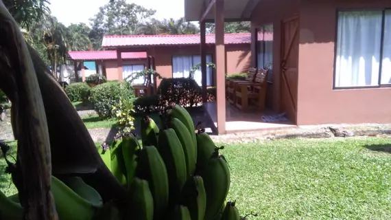 Paraiso Camping Lodge | Alajuela (ili) - Guayabo