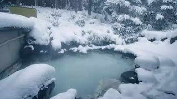 Okunikko Konishi Hotel | Toçigi (idari bölge) - Nikko