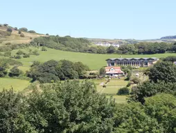 The Collingdale Guest House | Devon (kontluk) - Ilfracombe