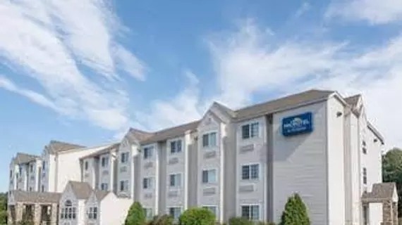 Microtel Inn & Suites by Wyndham Rice Lake | Wisconsin - Rice Lake (ve civarı) - Rice Lake