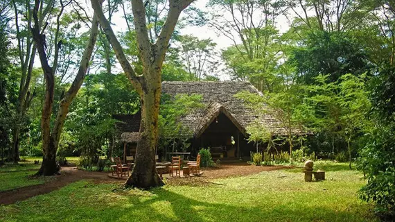 Migunga Tented Camp | Arusha Bölgesi - Manyara Gölü Ulusal Parkı