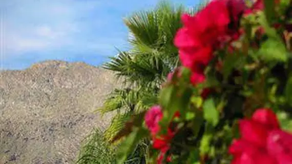 A Place In The Sun Garden Hotel | Kaliforniya - Imperial County - Palm Springs (ve civarı) - Palm Springs