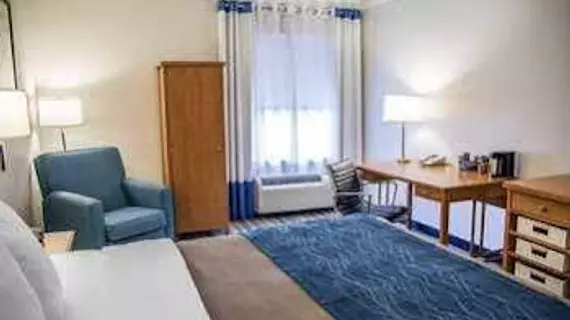 Comfort Inn & Suites Savannah Airport | Georgia - Savannah (ve civarı) - Savana