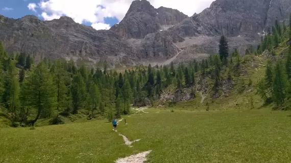 Miramonti Majestic | Veneto - Belluno (vilayet) - Cortina d'Ampezzo