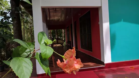 Palitha Homestay | Merkez Vilayet - Matale Bölgesi - Sigiriya