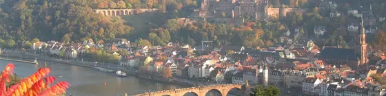 Wohlfühl-Hotel Neu Heidelberg | Baden-Wuerttemberg - Heidelberg - Pfaffengrund