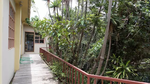 Hotel las Orquideas | Puntarenas (ili) - Monteverde