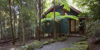 Springbrook Lyrebird Retreat