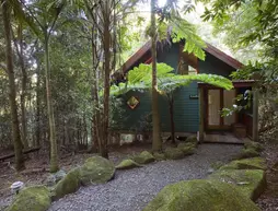 Springbrook Lyrebird Retreat