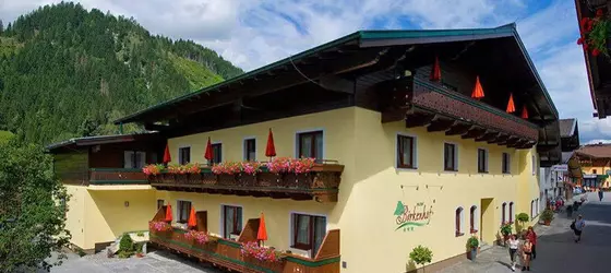 Hotel Birkenhof | Salzburg (eyalet) - Zell am See - Rauris