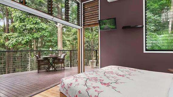 Azabu Boutique Accommodation | New South Wales - Byron Bay (ve civarı) - Skinners Shoot