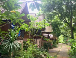 Misty View Guesthouse | Mae Hong Son İli - Pai