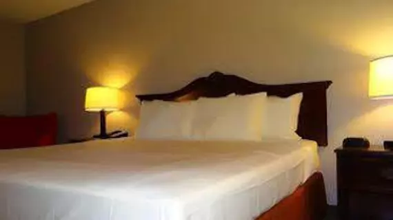 Country Inn and Suites - Salisbury | Maryland - Salisbury (ve civarı) - Salisbury