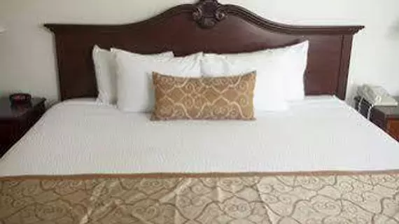 St. George Inn and Suites | Utah - St. George (ve civarı) - St. George