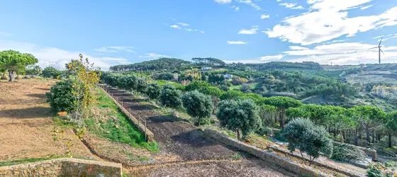 Quinta Raposeiros | Lizbon Bölgesi - Mafra - Ericeira