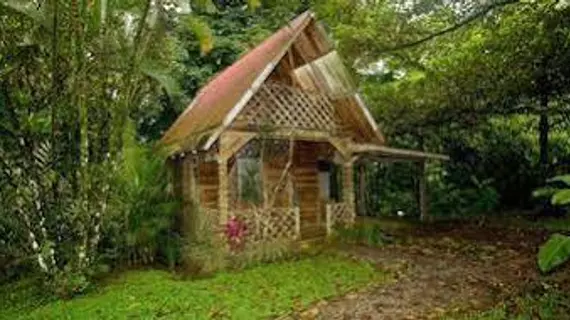 Santa Maria Volcano Lodge | Alajuela (ili) - Guayabo