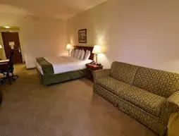 Chief Logan Lodge Hotel & Conference | Batı Virginia - Logan (ve civarı) - Chapmanville