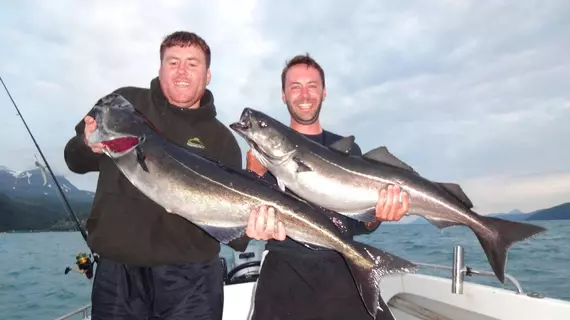 Furøy Fishingcamp | Troms (kontluk) - Sorreisa