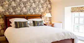 The Park Georgian Guest House | Kerry (kontluk) - Tralee