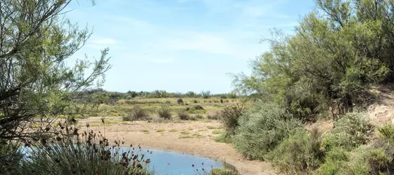 Les Mûriers | Occitanie - Herault (bölge) - Beziers (ve civarı) - Vendres