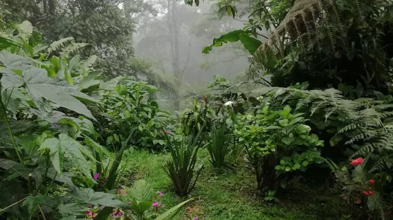 Posada de Montana Monserrat | Alajuela (ili) - San Jose (ve civarı) - San Jose