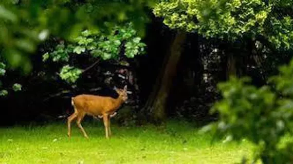 YHA Grasmere Butharlyp Howe - Hostel | Cumbria (kontluk) - Ambleside