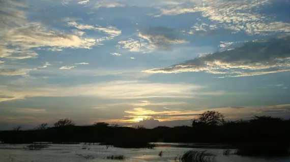 Mahoora Tented Safari Camp - Bundala | Southern Province - Hambantota Bölgesi - Hambantota