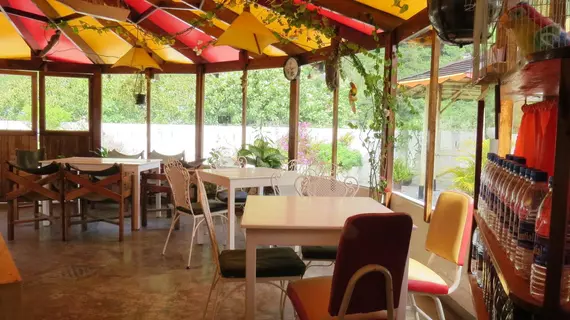 Hostal Plantas y Blanco | Tungurahua - Banos