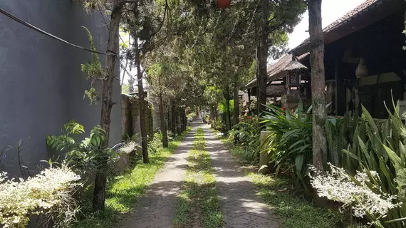 Rahayu 2 Bungalows | Bali - Ubud - Ubud Kent Merkezi