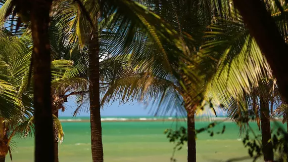 Pousada dos Coqueiros | Northeast Region - Pernambuco (eyaleti) - Recife (ve civarı) - Ipojuca - Porto de Galinhas