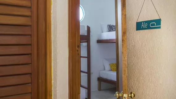 Beds Friends Hostel | Quintana Roo - Cozumel